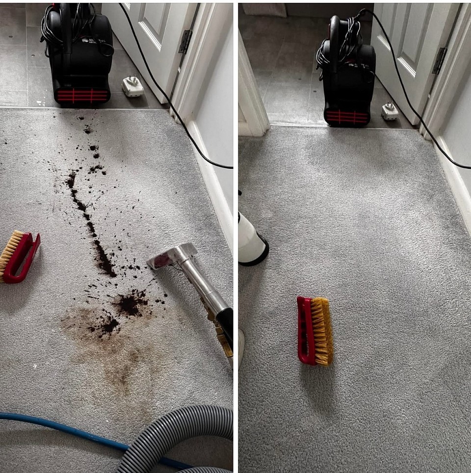 Professional Bio Hazard Stain Removal & Carpet Cleaning In Plymouth